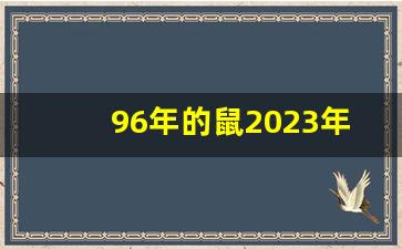 96年的鼠2023年运势_属鼠2024年有大喜缠身