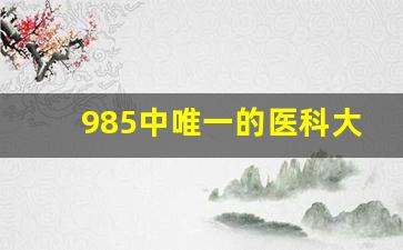 985中唯一的医科大学_985与211的区别