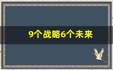 9个战略6个未来