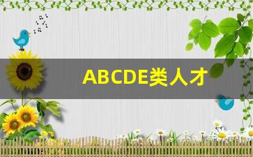 ABCDE类人才