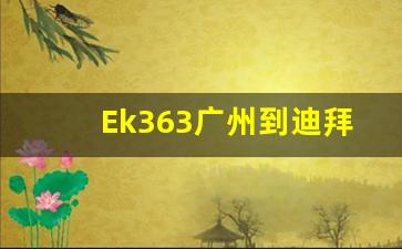 Ek363广州到迪拜_EK363是什么飞机