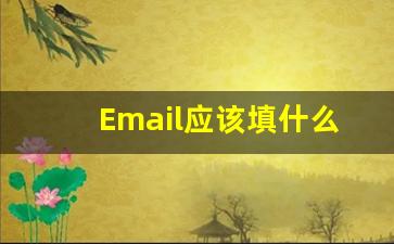 Email应该填什么