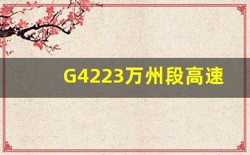 G4223万州段高速出口