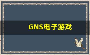 GNS电子游戏