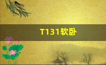 T131软卧