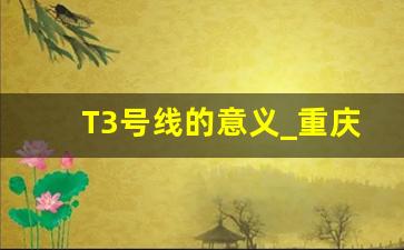 T3号线的意义_重庆t3航站楼有没有轻轨