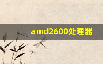 amd2600处理器_2600支持的内存频率