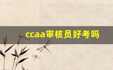 ccaa审核员好考吗