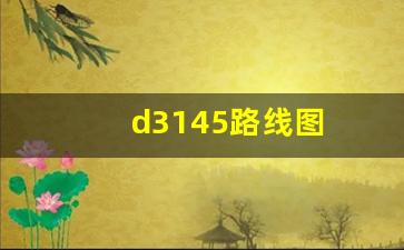 d3145路线图