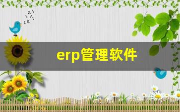 erp管理软件