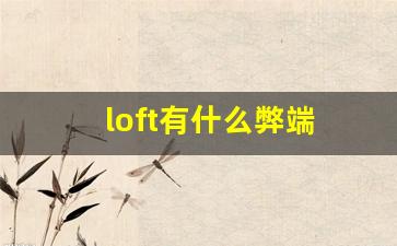 loft有什么弊端