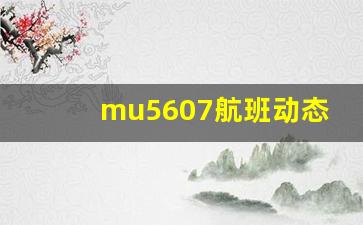 mu5607航班动态查询_Mu5607取消原因