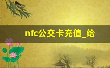 nfc公交卡充值_给公交卡充值的方法