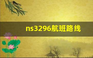 ns3296航班路线_济宁飞机场航班时刻表