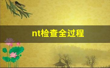 nt检查全过程