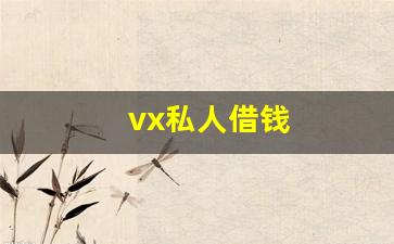 vx私人借钱