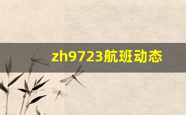 zh9723航班动态实时查询_非常准查航班