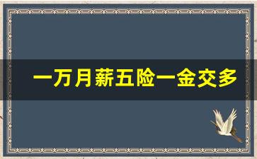 一万月薪五险一金交多少_社保一万公司个人承担多少