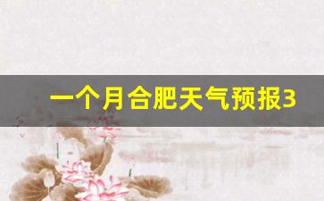 一个月合肥天气预报30天_合肥元月份天气预报30天