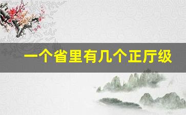 一个省里有几个正厅级_正厅级相当于几品官