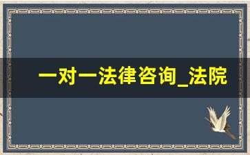 一对一法律咨询_法院冻结分公司怎么办