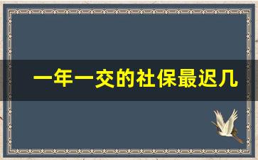 一年一交的社保最迟几月份交