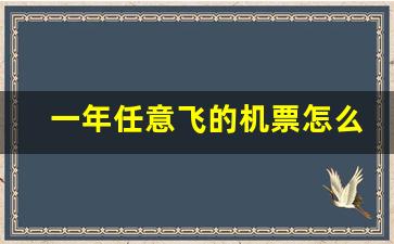 一年任意飞的机票怎么买