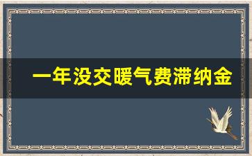 一年没交暖气费滞纳金是多少