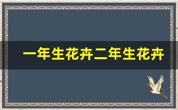 一年生花卉二年生花卉异同