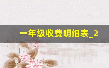 一年级收费明细表_2023年公立小学收费表