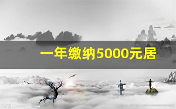 一年缴纳5000元居民养老保险_新农保交6000元划算吗