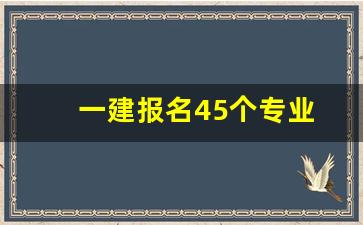 一建报名45个专业