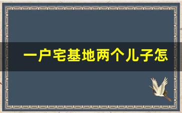 一户宅基地两个儿子怎样建房_一户一宅政策解读