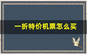 一折特价机票怎么买