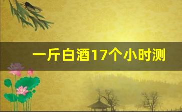 一斤白酒17个小时测试结果_喝酒马上喝水二小时降多少