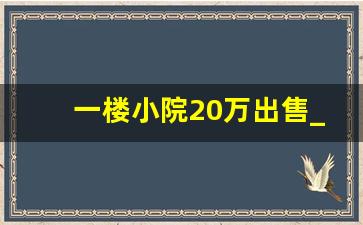 一楼小院20万出售_农家小院低价出售