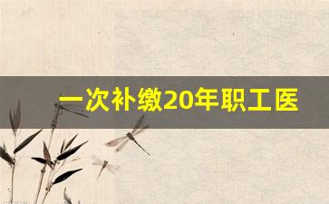 一次补缴20年职工医保