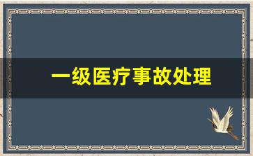 一级医疗事故处理