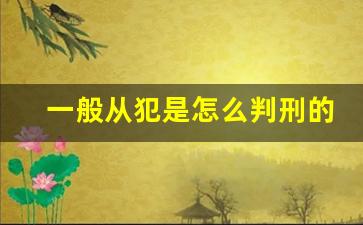 一般从犯是怎么判刑的_主犯和从犯的量刑差距