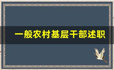 一般农村基层干部述职报告