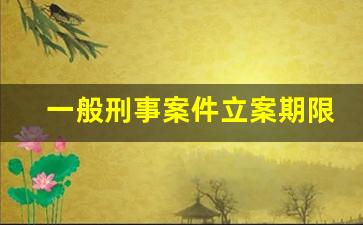 一般刑事案件立案期限_刑事立案条件是什么