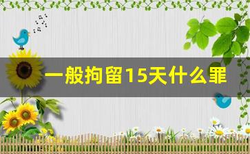 一般拘留15天什么罪_拘留十五天在里面都干嘛