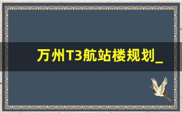 万州T3航站楼规划_天津机场t3航站楼批复