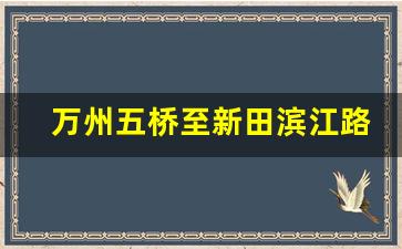 万州五桥至新田滨江路规划_万州新田哪些村在规划