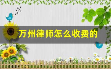 万州律师怎么收费的