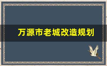 万源市老城改造规划