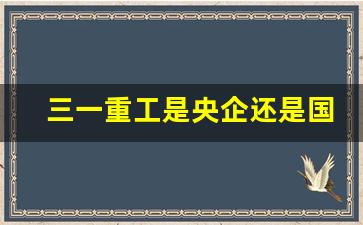 三一重工是央企还是国企_三一集团儿子老婆背景