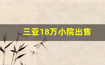 三亚18万小院出售