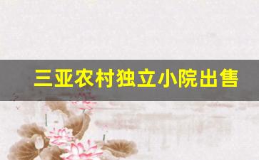 三亚农村独立小院出售_三亚18万小院出售