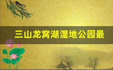 三山龙窝湖湿地公园最新消息_芜湖市三山区小水影最新规划